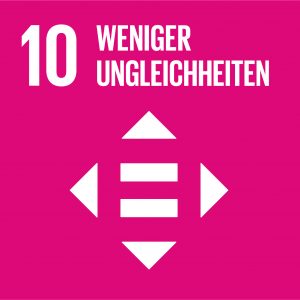 SDG-Icon